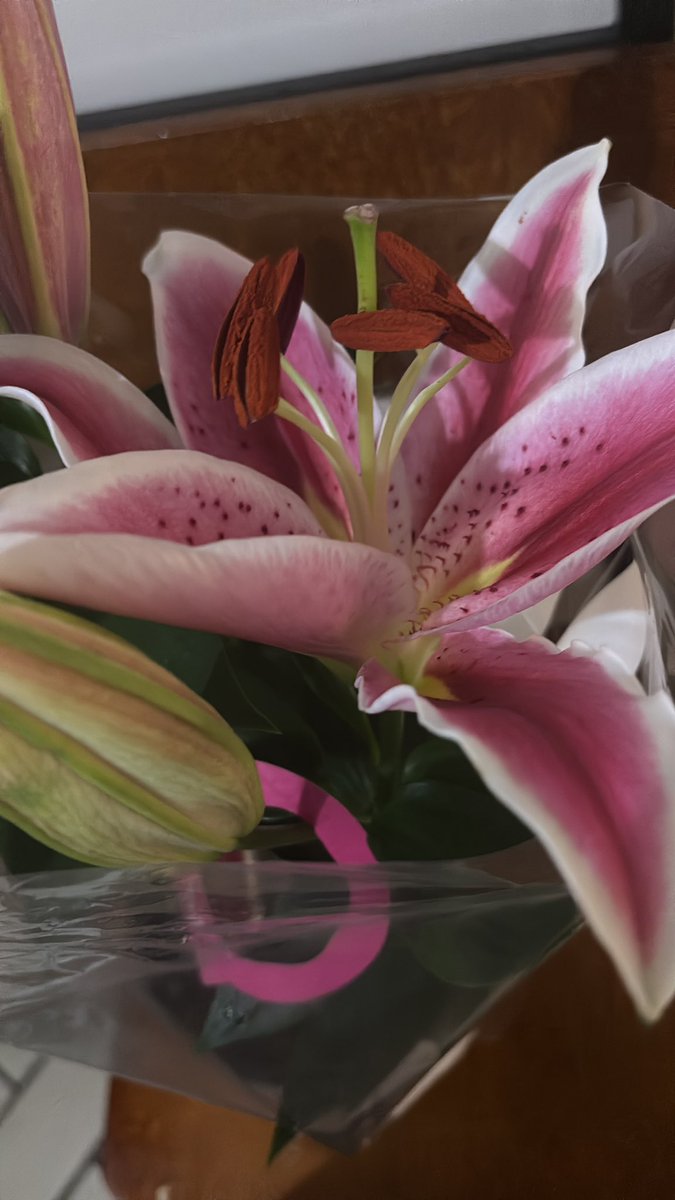 nana VAI VER O SKZ ENHYPEN E BTS tweet media