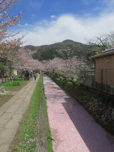 Kyoto no T tweet media