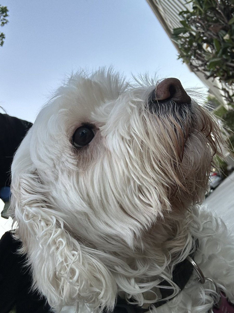 ThisIsFineGames tweet media