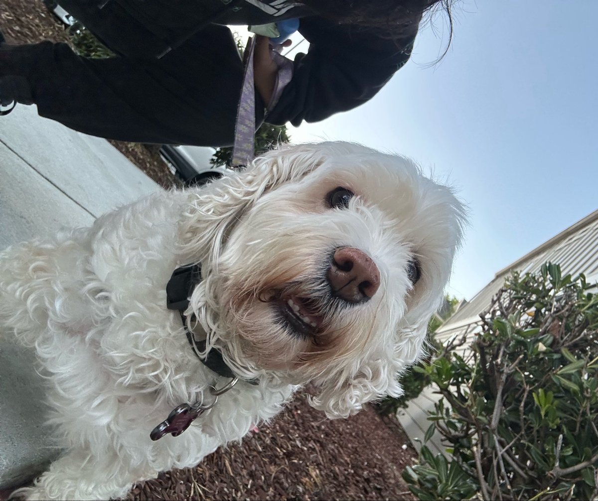 ThisIsFineGames tweet media