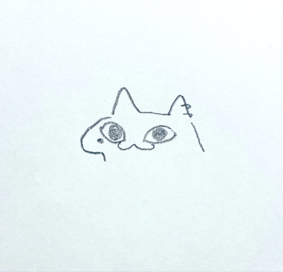 Tenji88's tweet photo. https://t.co/0uwGP00VRA