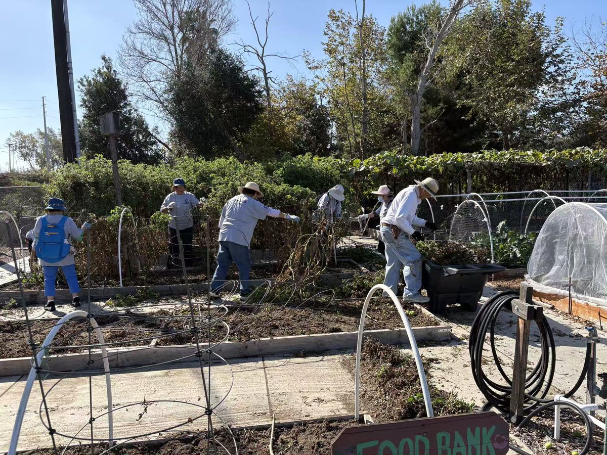 Happy50Plus Foundation tweet media