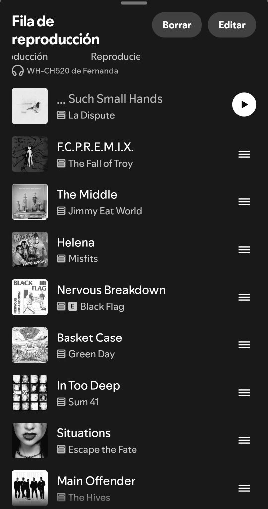 fernanda tweet media