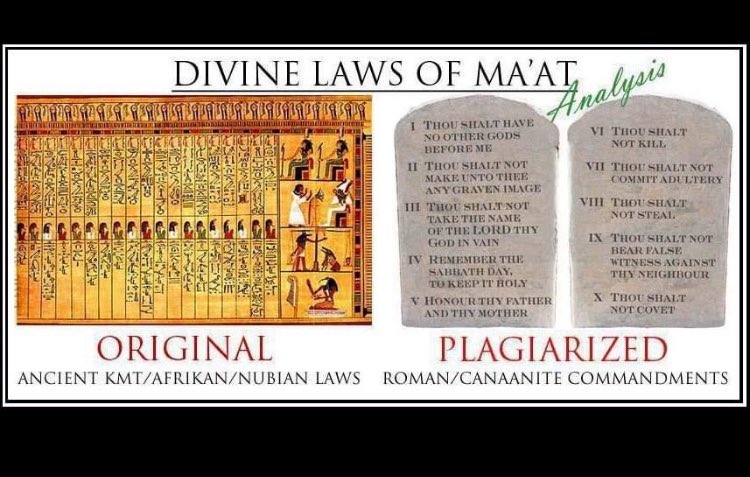 Theo Wilson tweet media