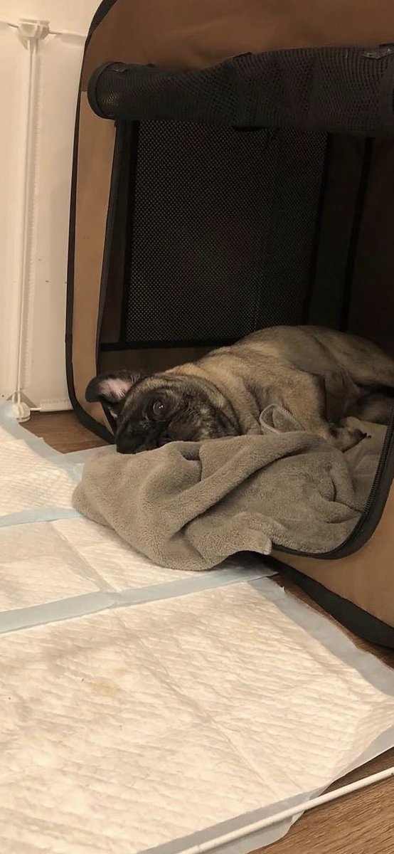 宅建リベンジ🔥R8合格したいBBA tweet media