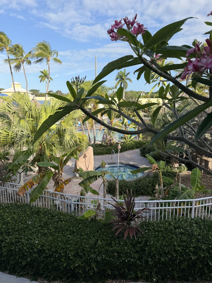 LoisAceLane's tweet photo. Post a photo you snapped that you've never posted on this platform before.
Can be anything! #NeverBefore https://t.co/Z4a7Z7Ggu6