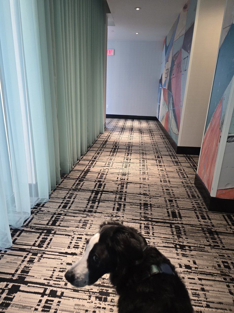 Pet-friendly hotels are fabulous! Thank you for warm family hospitality and cool art, <a href="/IHGhotels/">IHG Hotels & Resorts</a> 
#travel #madison #roadtrip