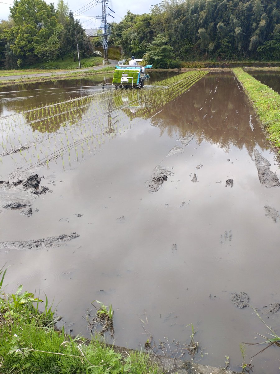 清武のじぃじ tweet media