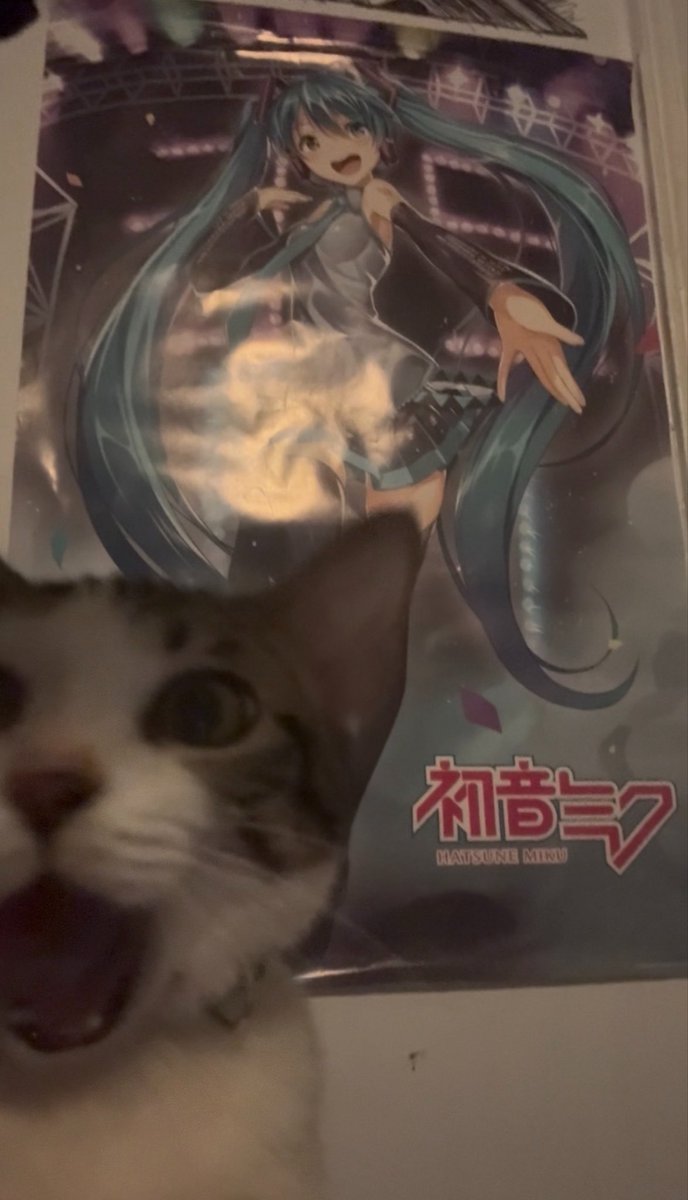 Fortnite🐾 tweet media