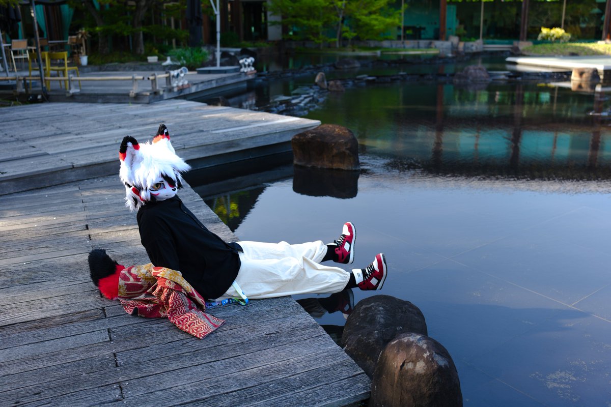 Ama_sigule's tweet photo. のーーんびり🍀
#FursuitEveryday　#京けも4 https://t.co/RTcVgoOMZ5
