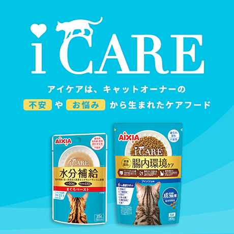 保護猫カフェCAPOT tweet media