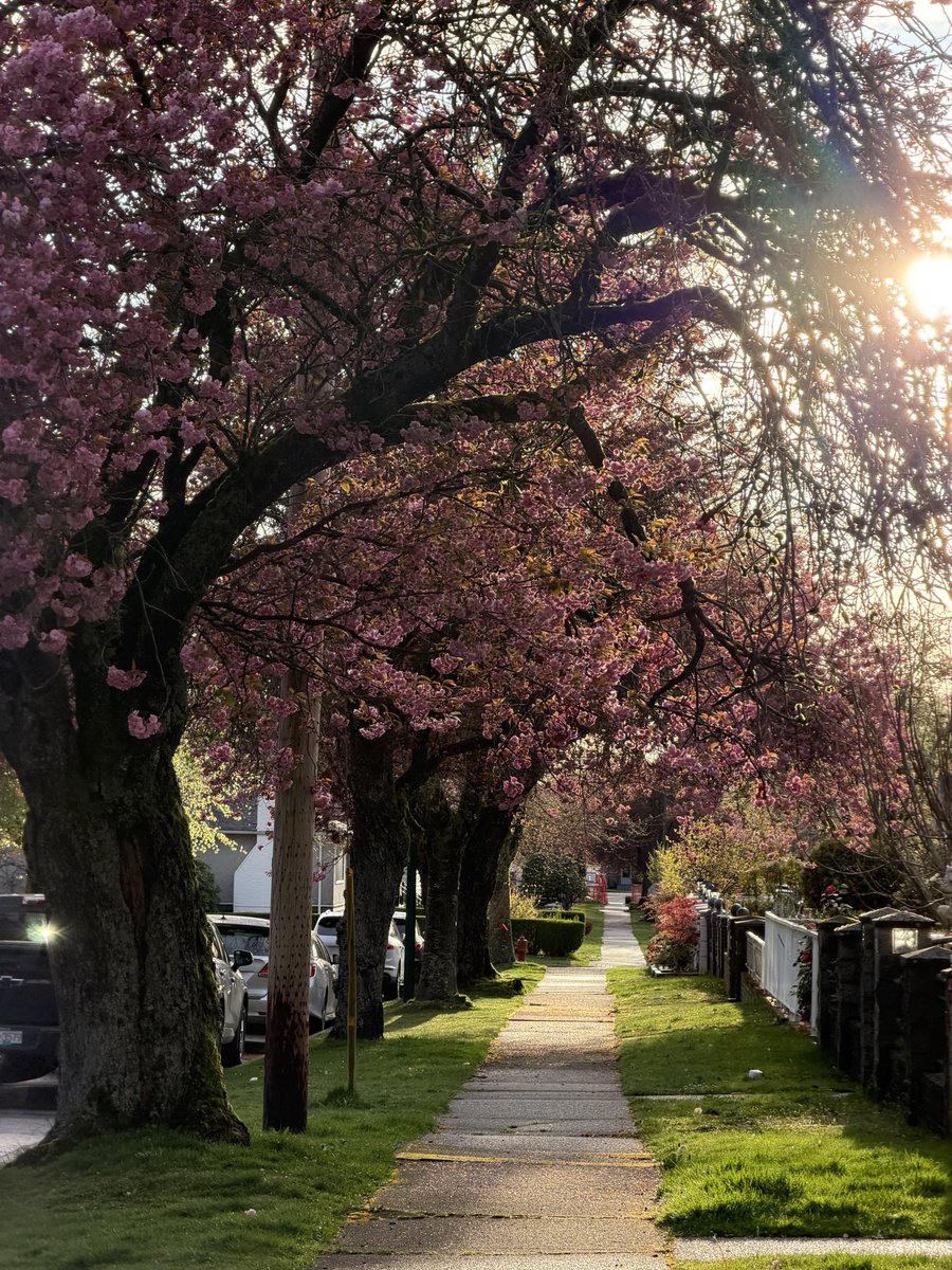 lou ᜎᜓᜂ tweet media