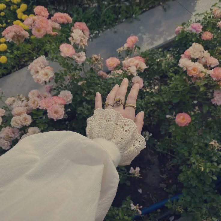 ورد..  tweet media