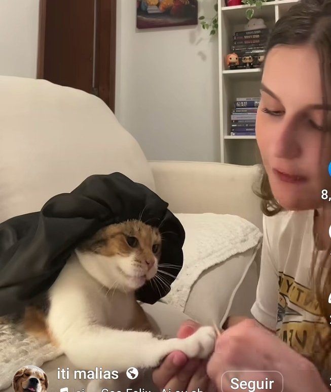 ⚜️Eu tô é Tu*ᶜʳᶠ⚜️❤️🖤🏆🏆🏆🏆 tweet media