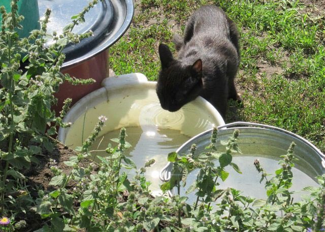 ⋆.·★ ℱₗₒᵣₐ ★·.⋆ tweet media