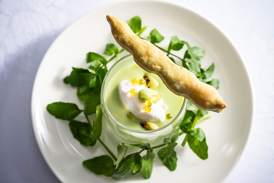 PR TIMESライフスタイル tweet media