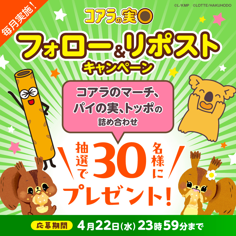 ロッテ コアラの実◎【公式】 tweet media