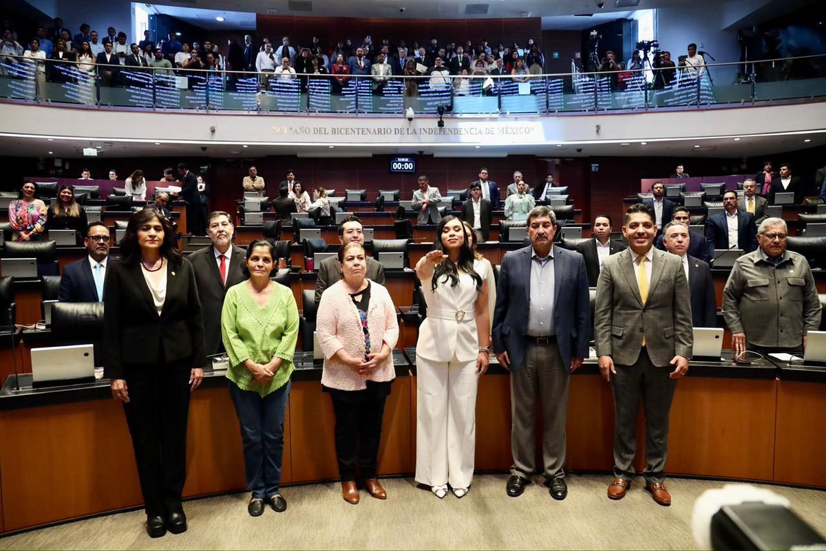 Senadores Morena tweet media