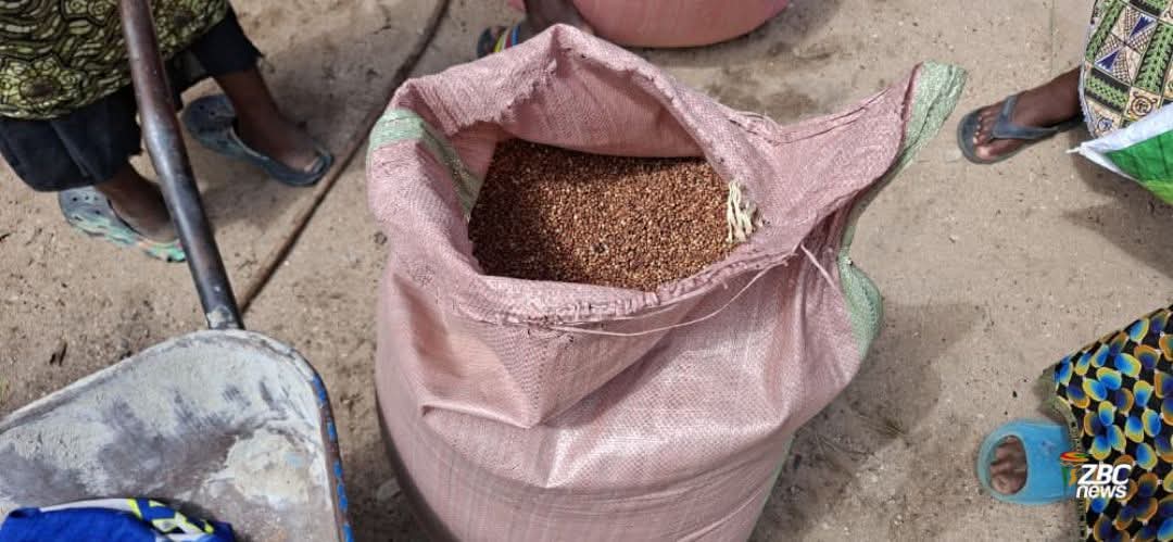 ZoomBulawayo. tweet media