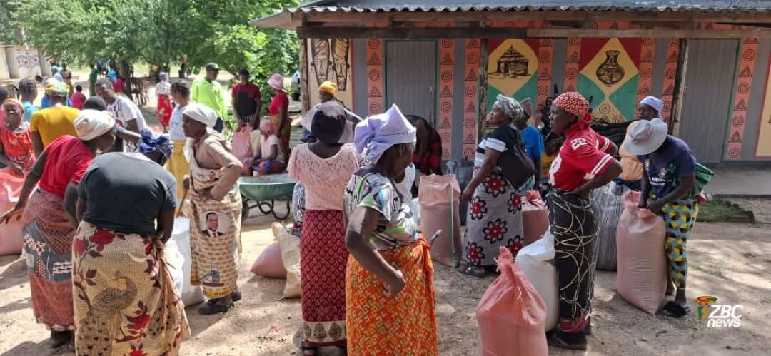 ZoomBulawayo. tweet media