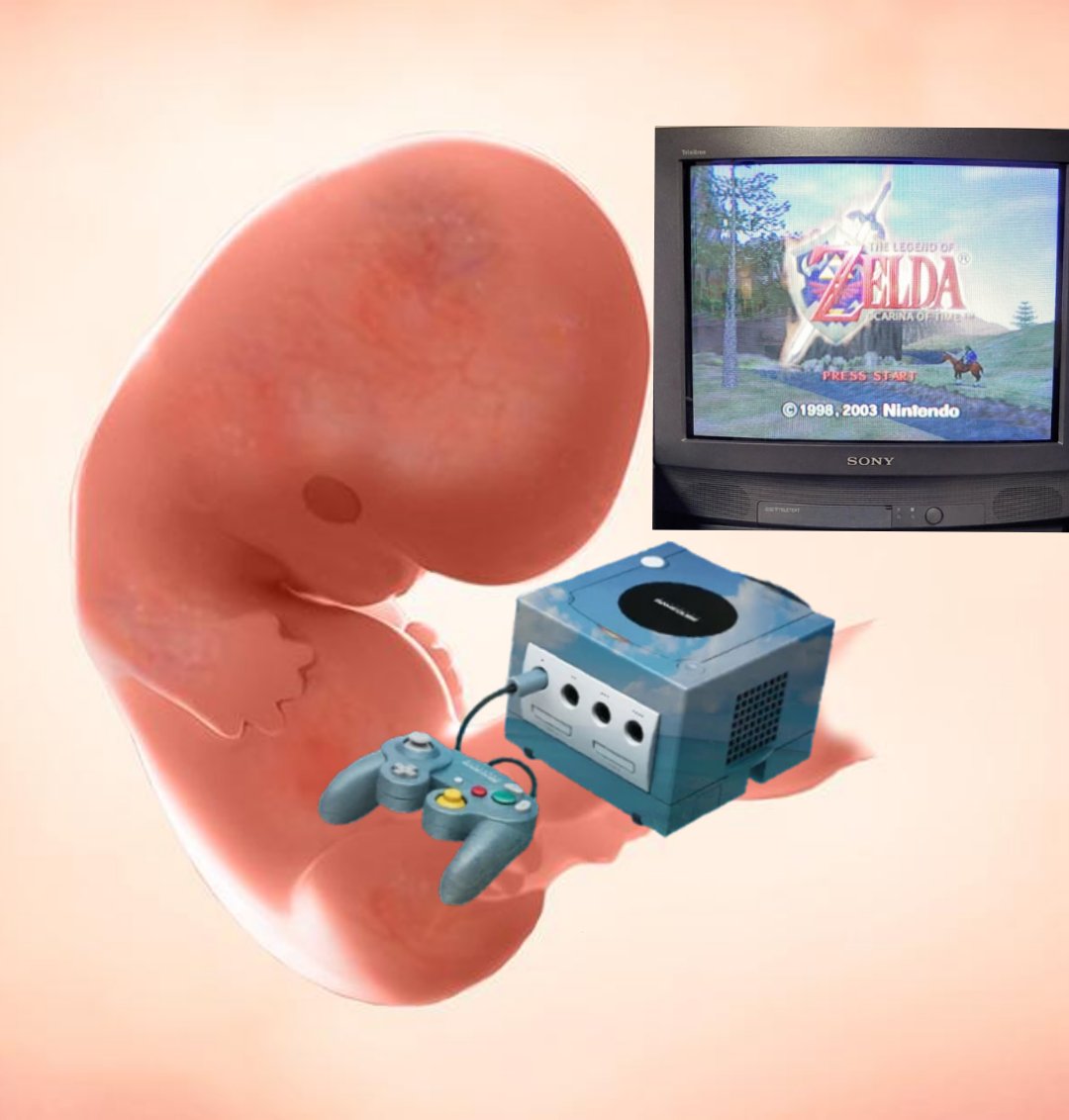 ˗ˏˋ BRANˎˊ˗ tweet media