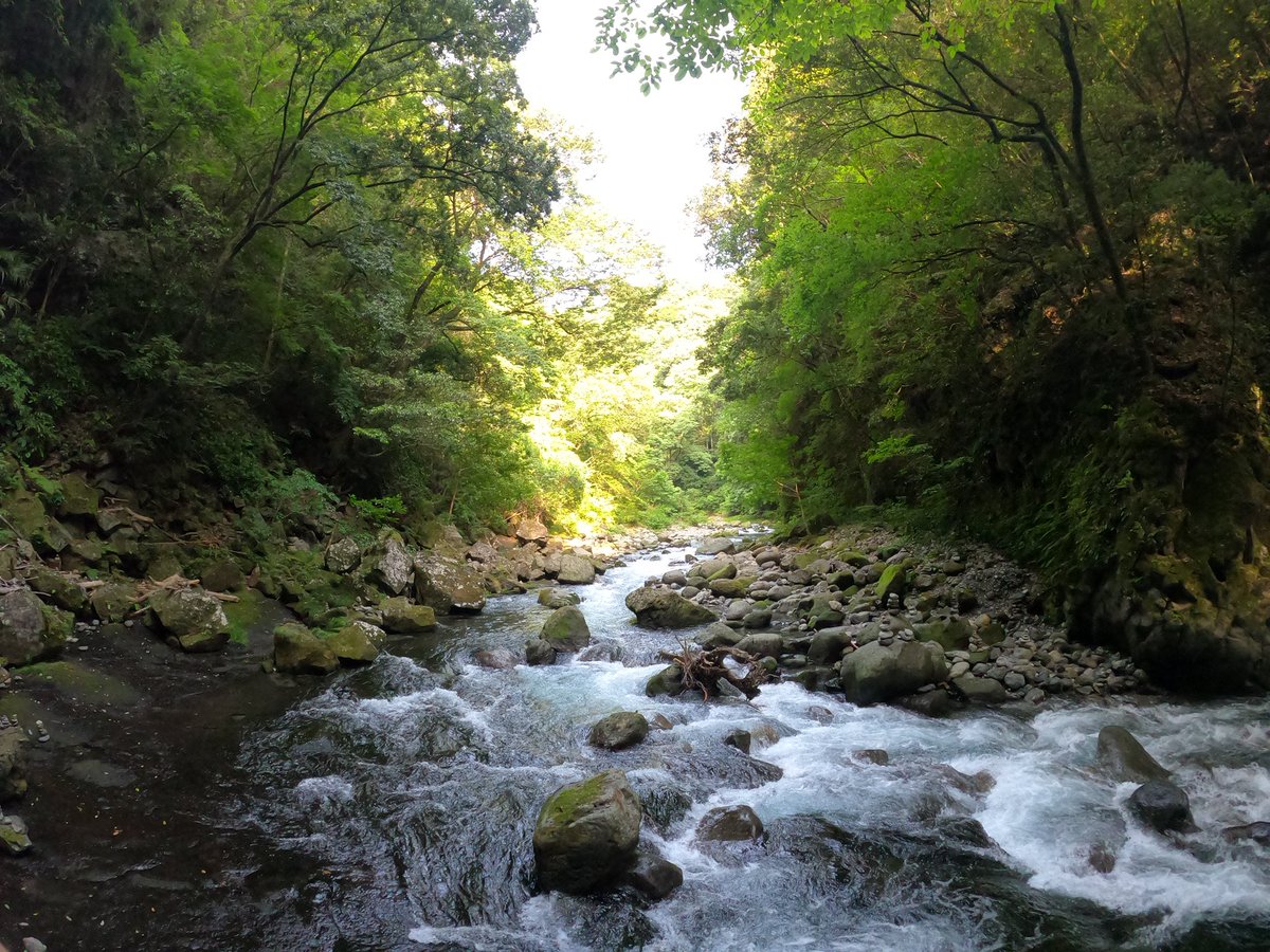 TØMØ@SU-SU-SU tweet media