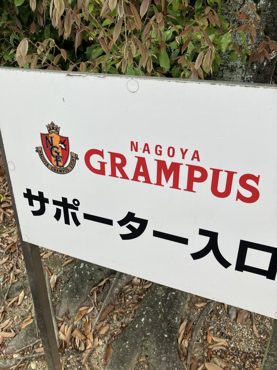 はまだ tweet media