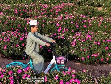 صُـمُــودّ العَـدَوِيّــة tweet media