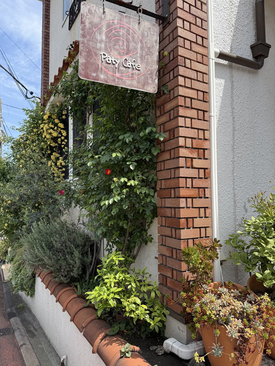 PatyCafe tweet media