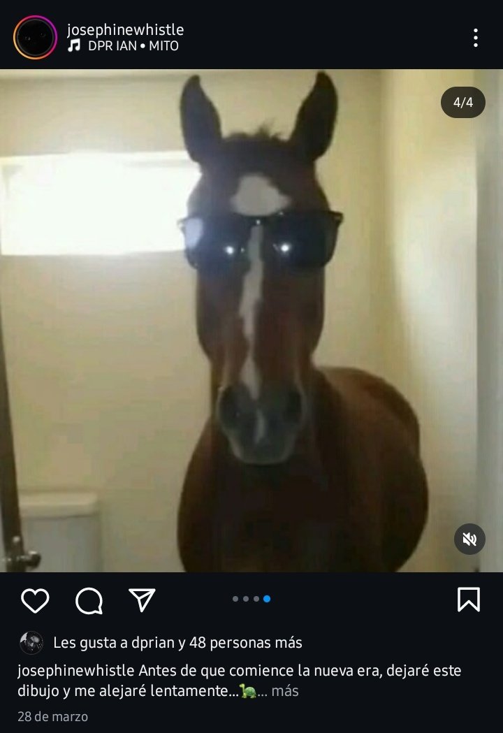 Josephine Whistle🐧 tweet media