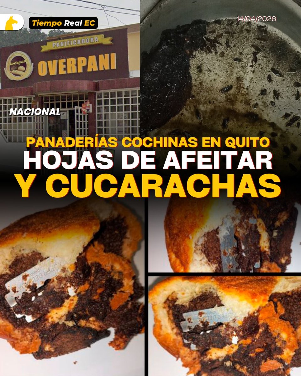 Tiempo Real tweet media