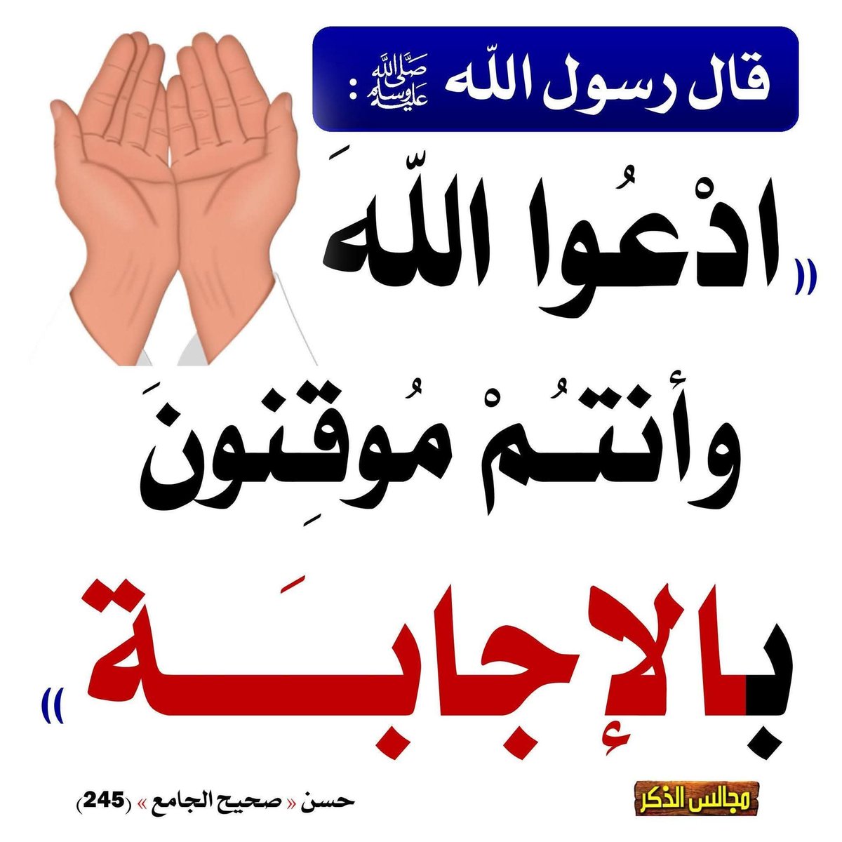 شـــيـث tweet media