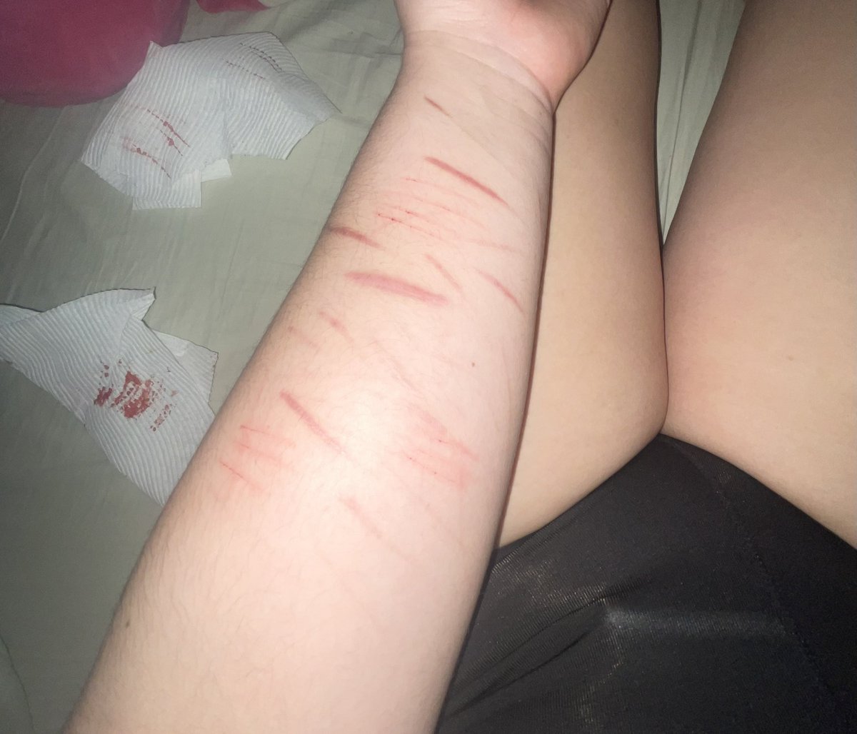 maddy ferguson of shedtwt ꩜ tweet media