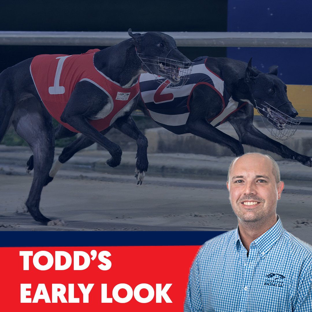 Greyhound Racing SA News tweet media