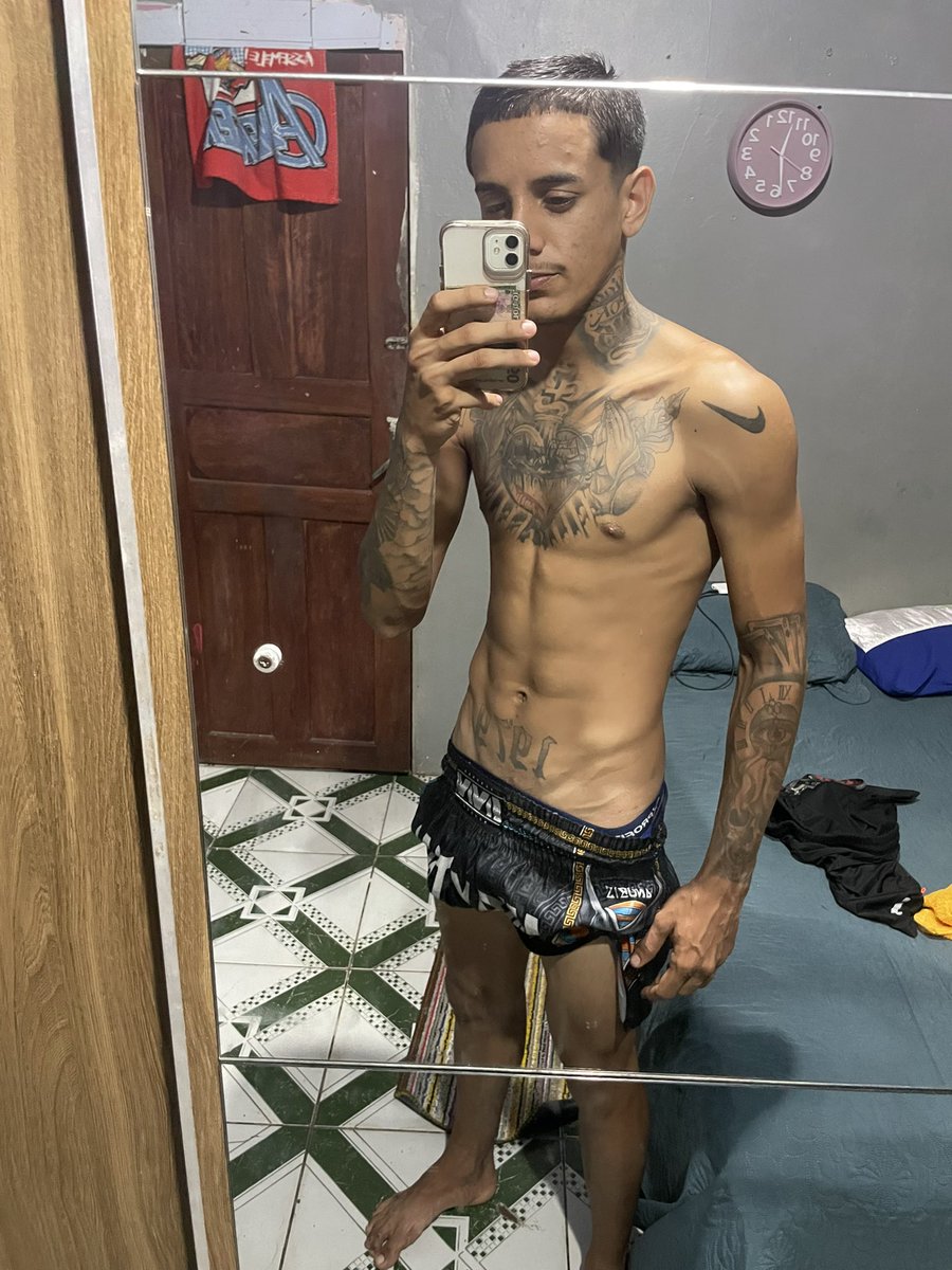 novinho20 tweet media