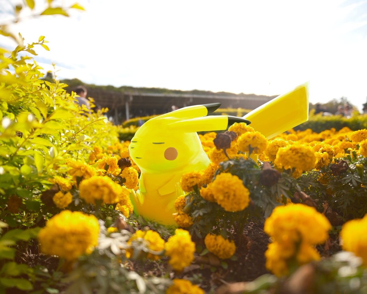 PhiryonGD's tweet image. rat is sleeping 🐀⚡💤 🌼

#pikachu #pokemon #illustration #photography #clipstudiopaint