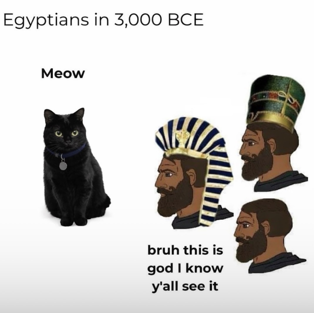 cats with powerful aura tweet media