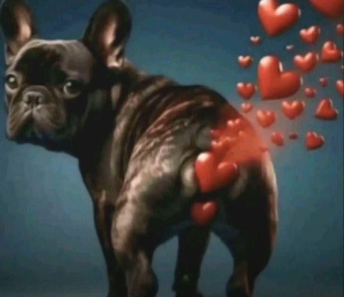 cely 2.0 tweet media