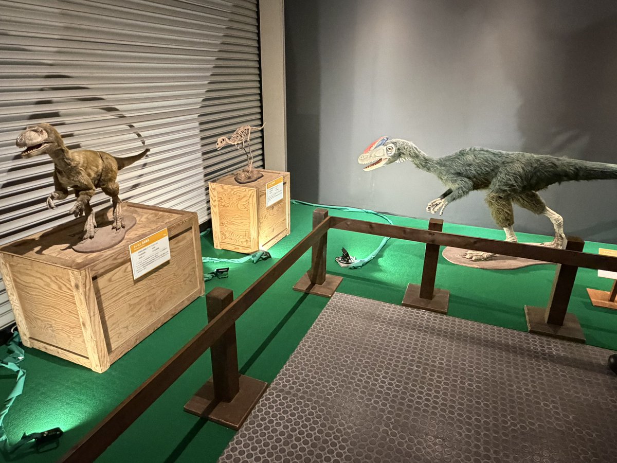 みっちん tweet media