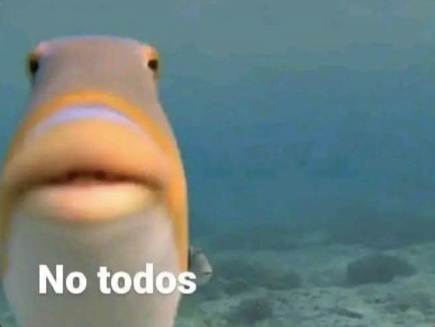 cornulda tweet media