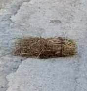 Dimko Zhluktenko 🇺🇦⚔️ tweet media