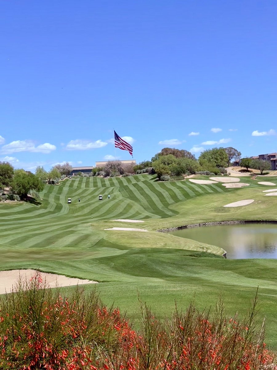 Shannon Hill tweet media