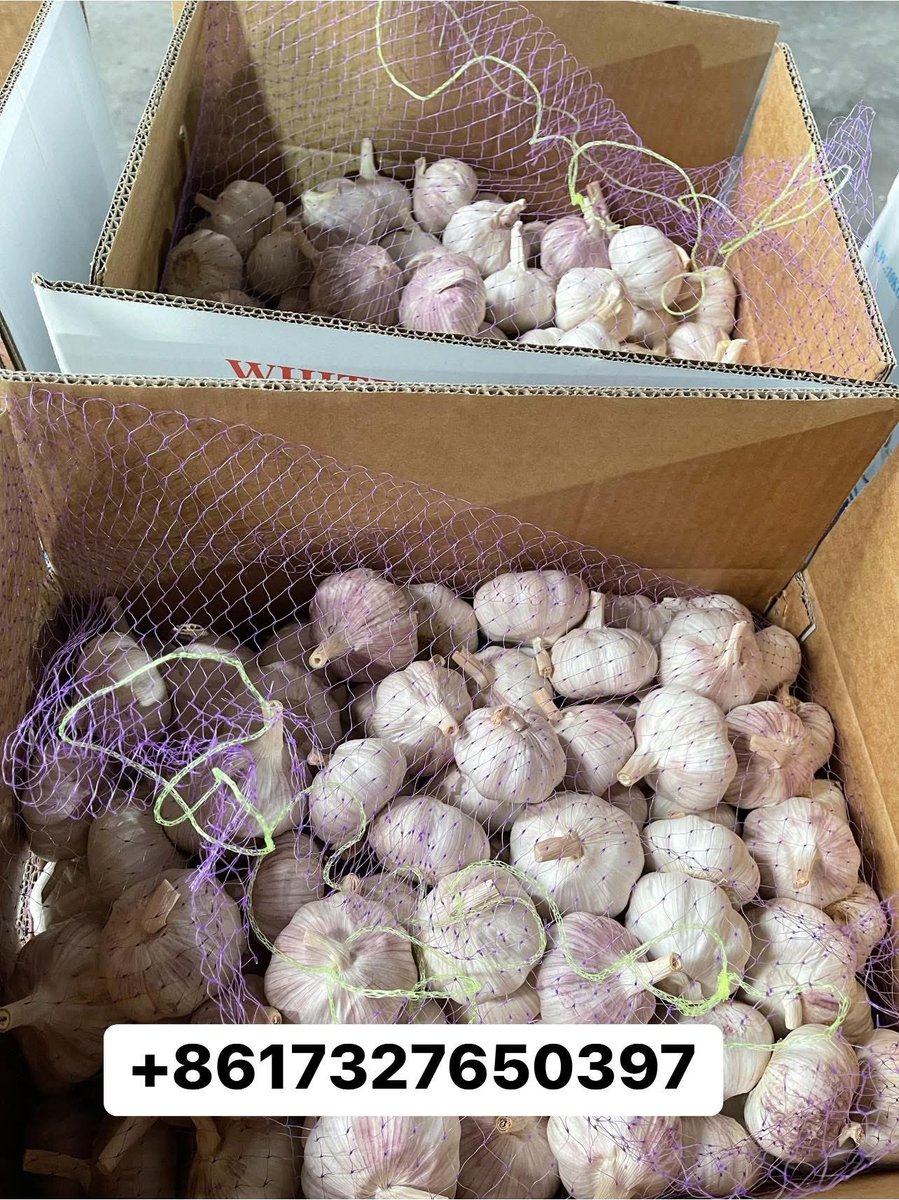ChinaGarlic33's tweet photo. TOP quality normal garlic
Garlic for Export
Welcome contact WhatsApp:+8617327650397

#garlic #normalgarlic #freshgarlic #importgarlic 
#exportgarlic https://t.co/e48FCYB9qm