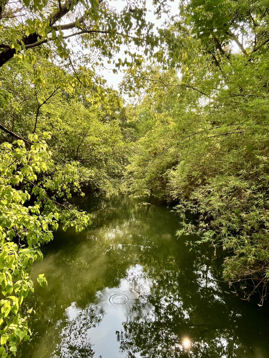 Mesapril🍀 tweet media