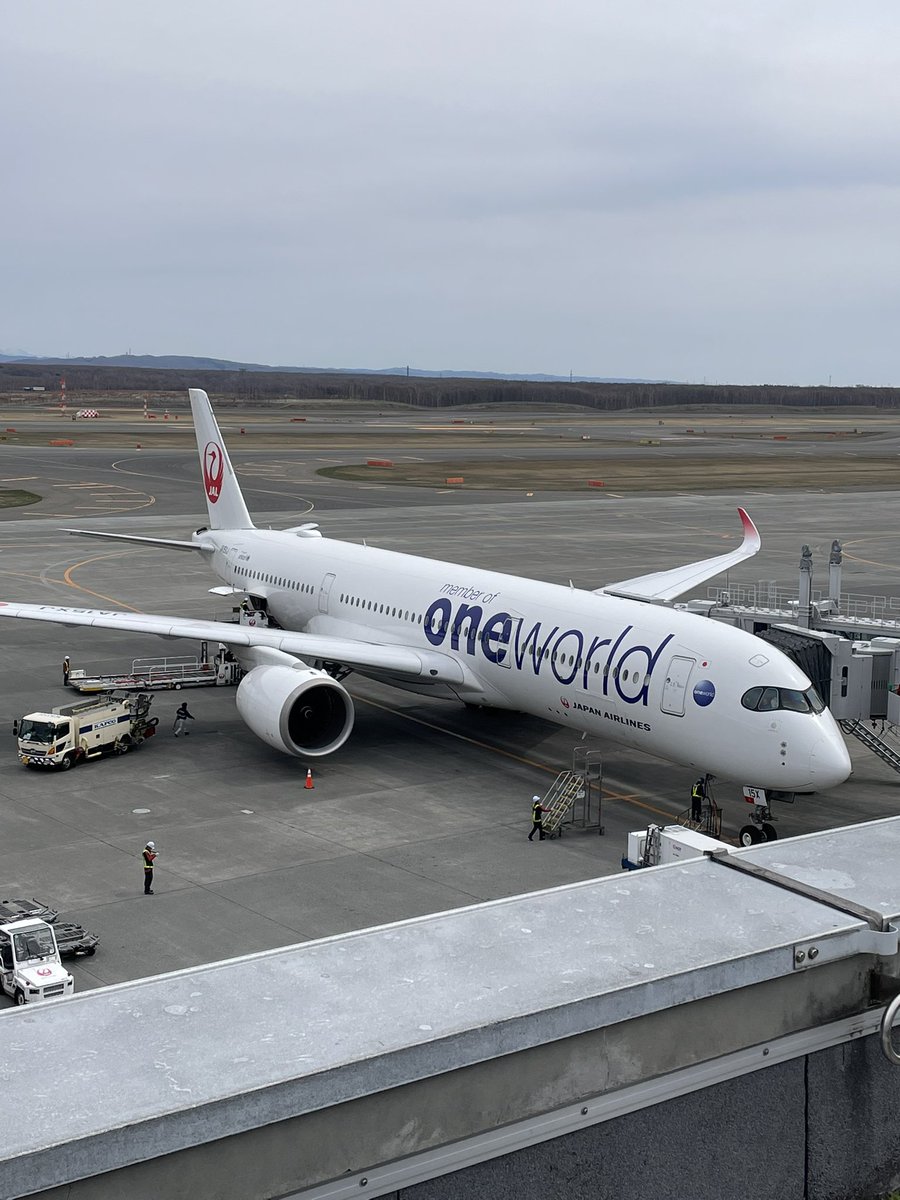 airplane_pl_os's tweet image. 遠征先で出会いがち
#JAL
#oneworld