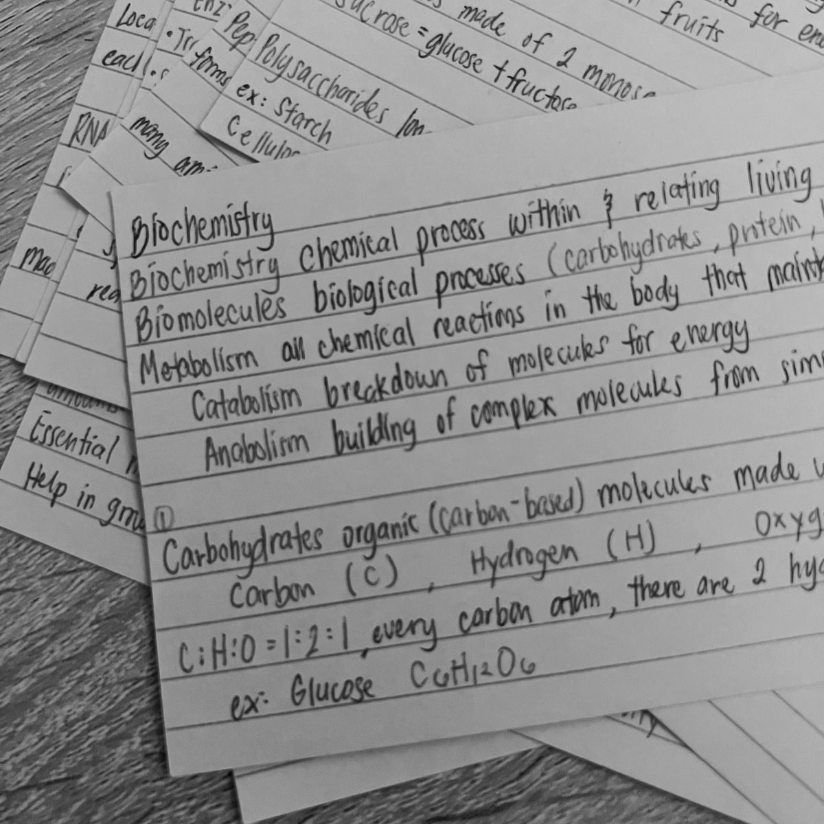 shiraemyun tweet media