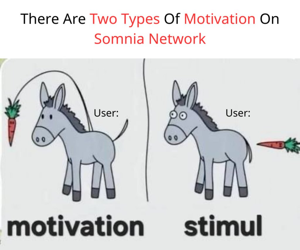 viet.somi | somdudu tweet media