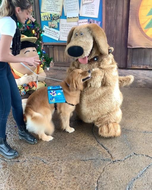 twaniimals's tweet photo. https://t.co/tGHRjKRcss