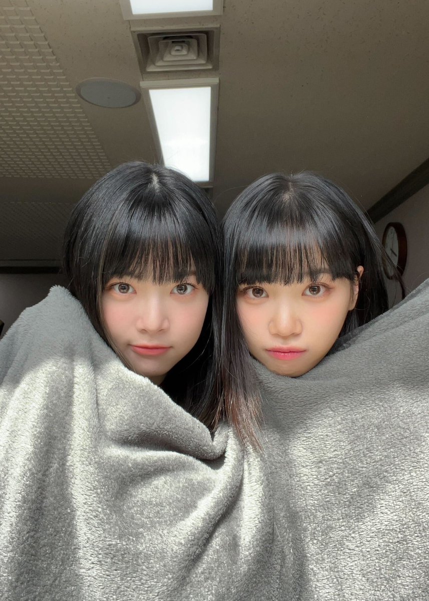 Kiki 🐶💬🌬️🎉 tweet media