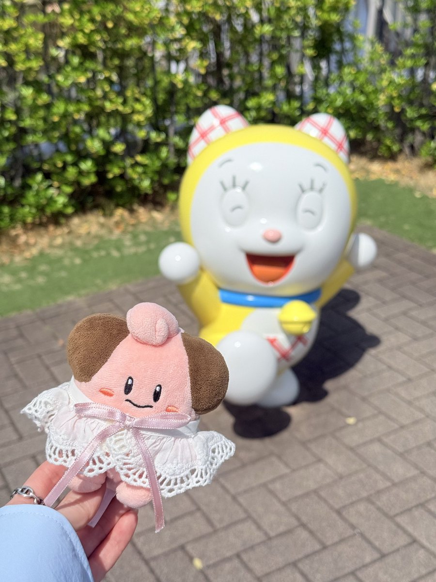 ピィたん tweet media